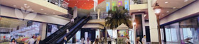 Retail and Commercial Development